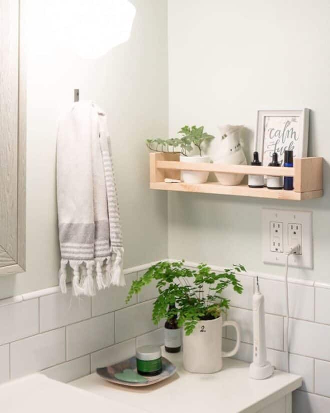 Green and white bathroom with an IKEA belkram shelf filled with bathroom accessories and a plant.