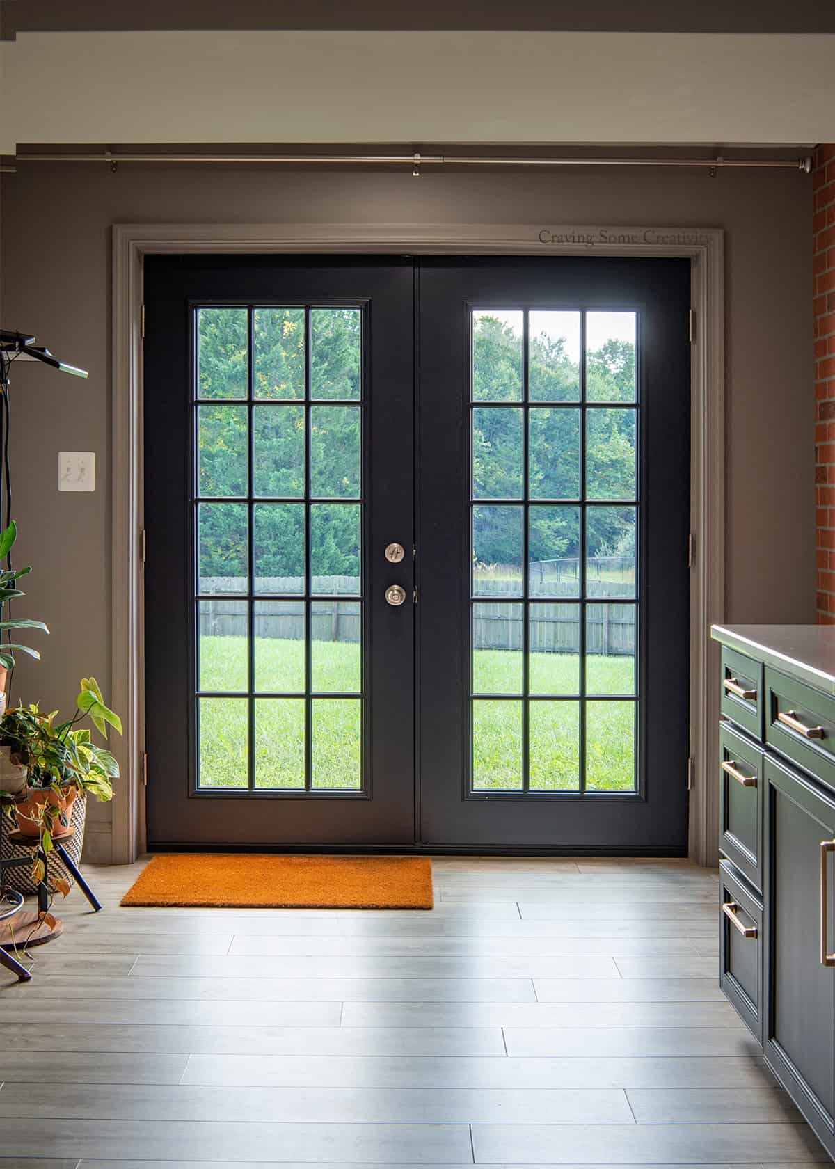 View of black French patio glass doors into a backyard.