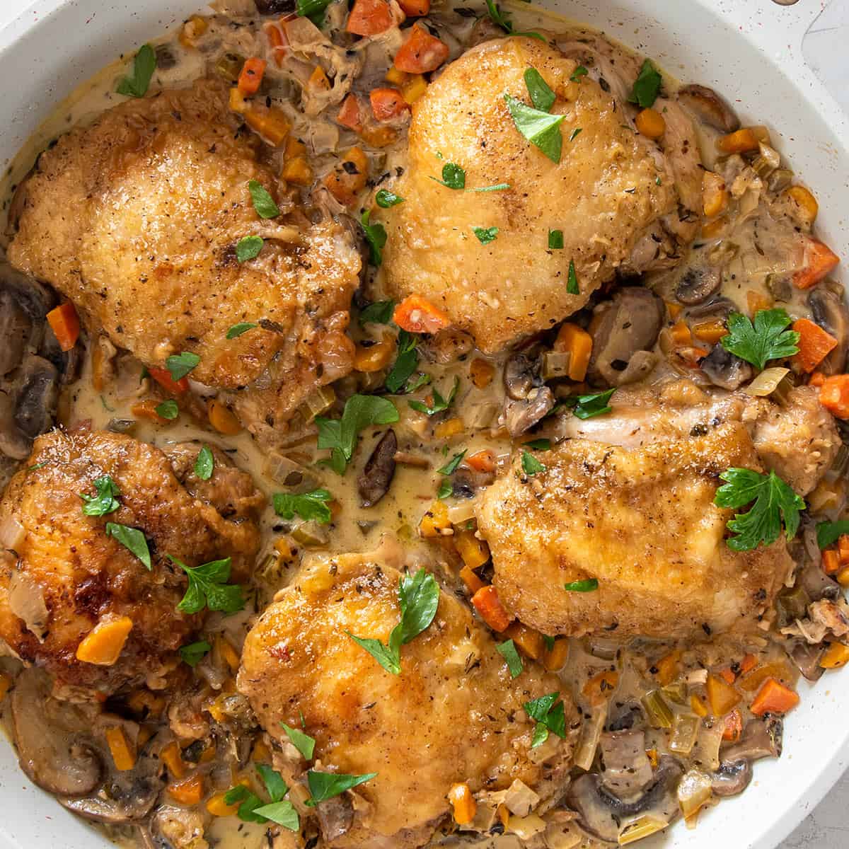Chicken fricassee in a white wine gravy in a skillet.