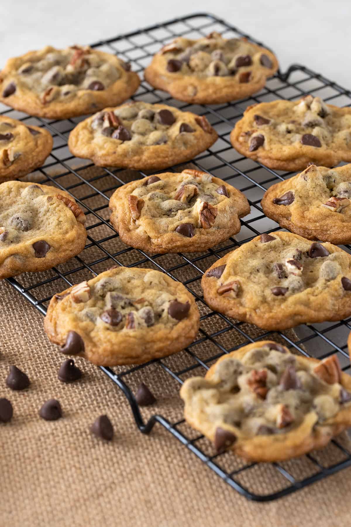 Chocolate chip cookies on a wire rack.