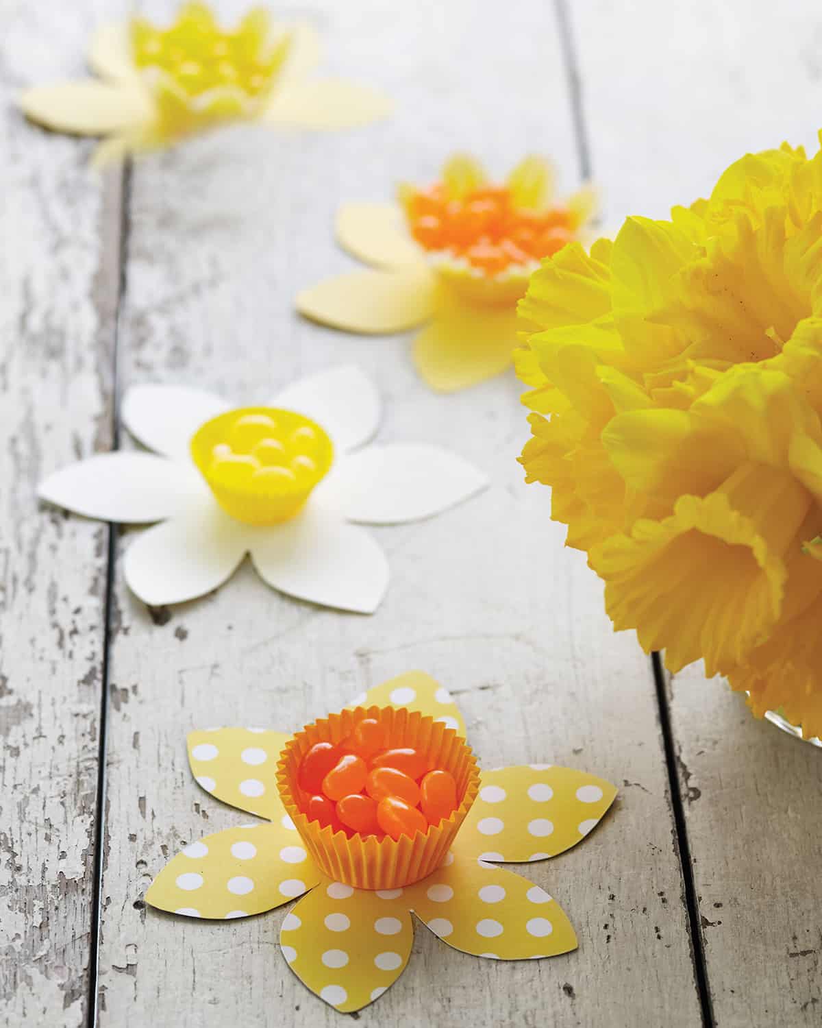 Yellow daffodil paper cutout candy cups with jellybeans next to yellow flowers on white wooden table.