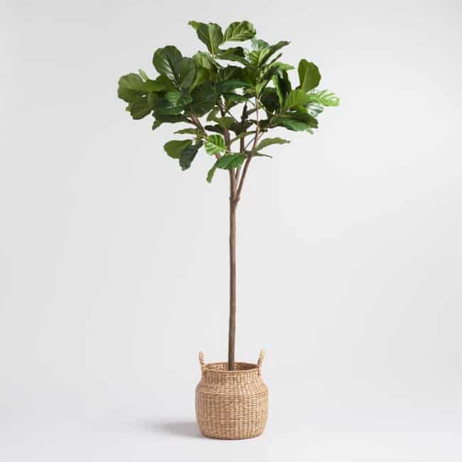 A faux fiddle leaf fig in a basket.