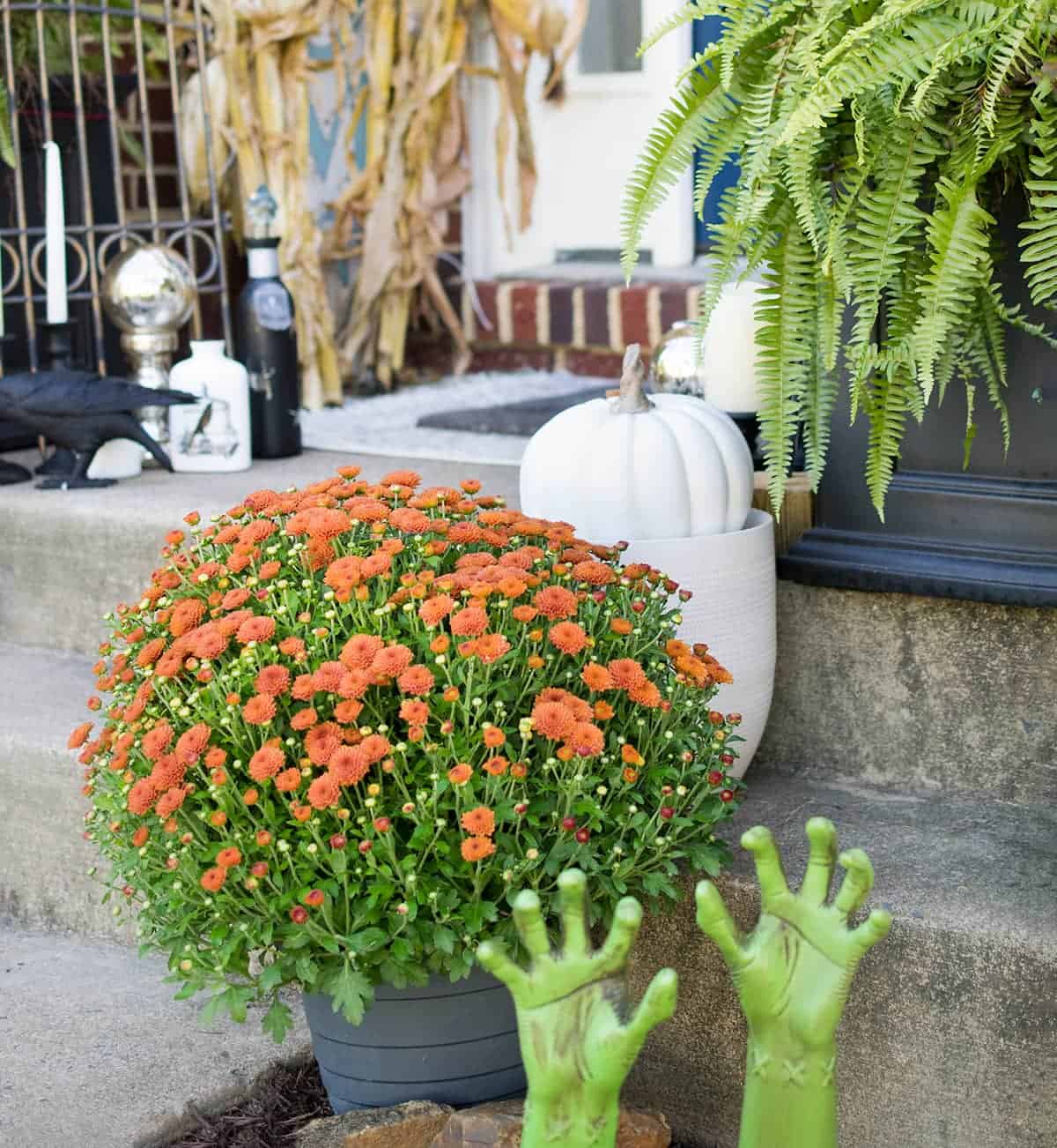 Halloween outdoor decor with white pumpkin, buried hands, ferns and orange mum.