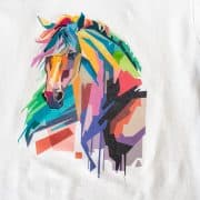 Final Photo Transfer of a Brightly Colored Horse Head