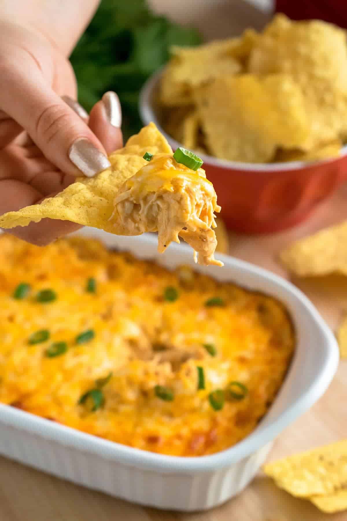 Baked buffalo chicken dip served on tortilla chip, topped with melted cheese and garnished with chives. 