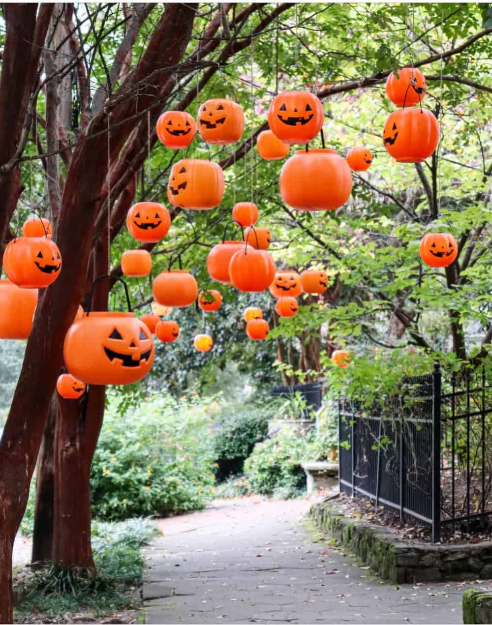 Tree lined street with suspended floating pumpkin pails for Halloween.