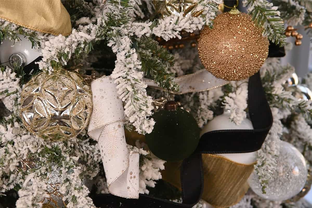 Closeup of white and black velvet twirled ribbon on a tree,