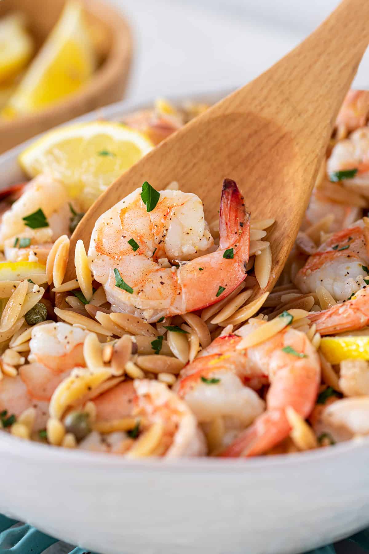 A wooden spoon holding a shrimp with tail on, over a bed of pasta.