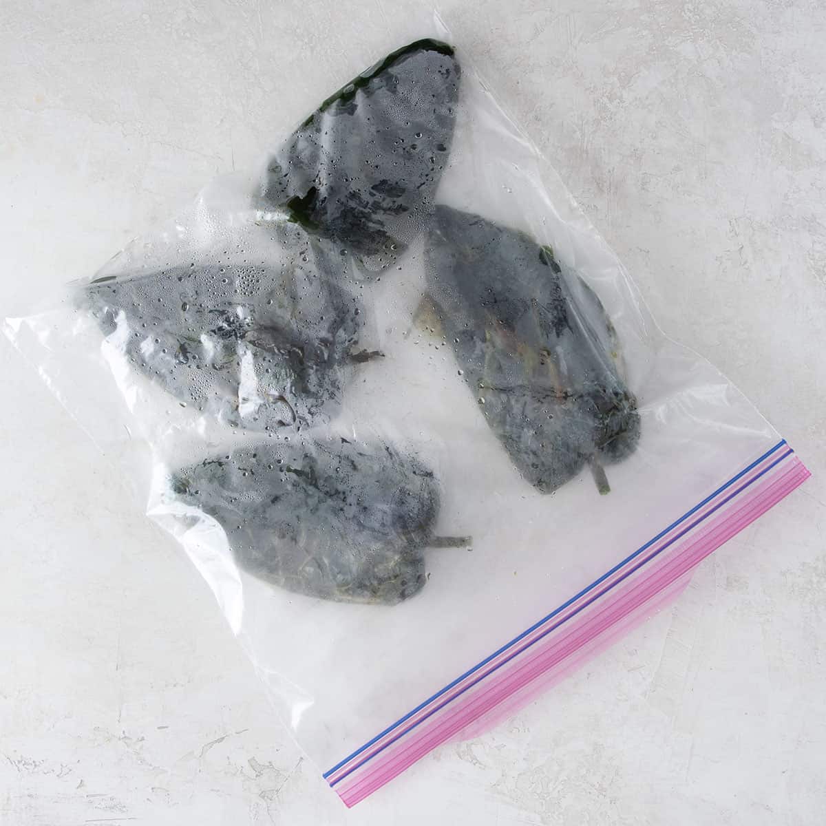 Poblano Peppers steaming in a bag.